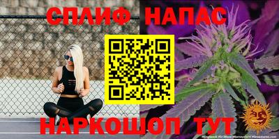 a pvp Будённовск