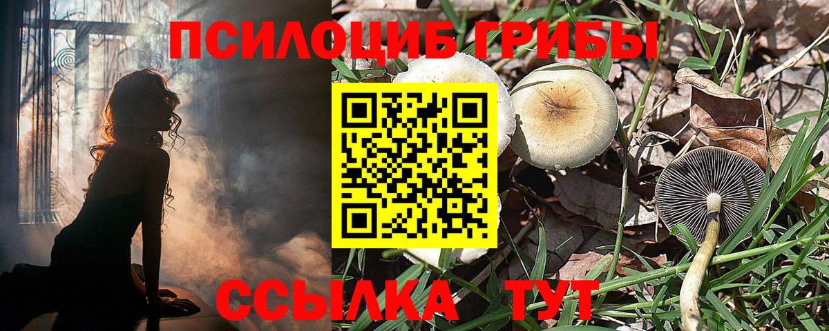 Галлюциногенные грибы Psilocybine cubensis  купить  цена  Озёры  Вход с VPN 